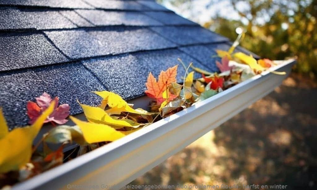 Seizoensgebonden rioolproblemen Gouda: herfst en winter